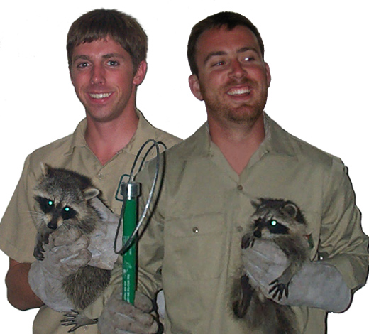 About Us - Suffolk County Wildlife Removal Services